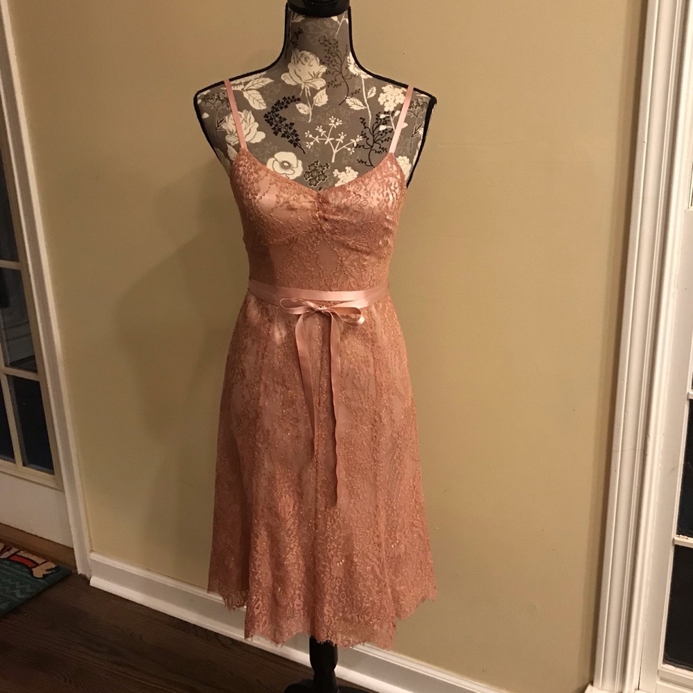 Ann Taylor ballet pink silk dress with gold lace